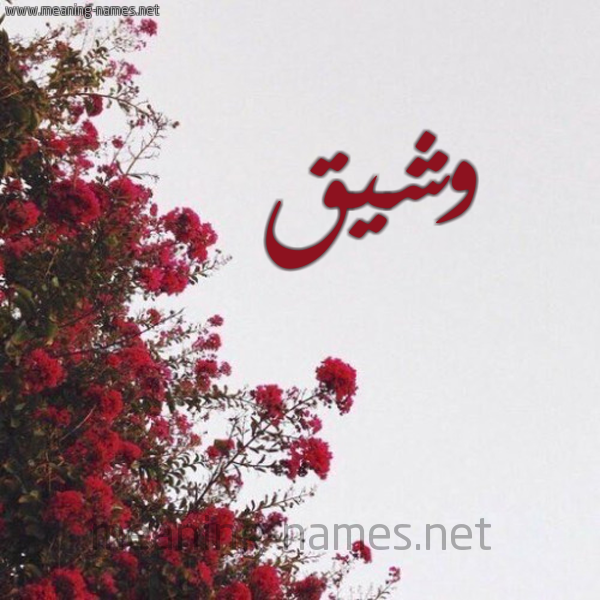شكل 18 صوره الورد الأحمر للإسم بخط رقعة صورة اسم وشيق Wshyq