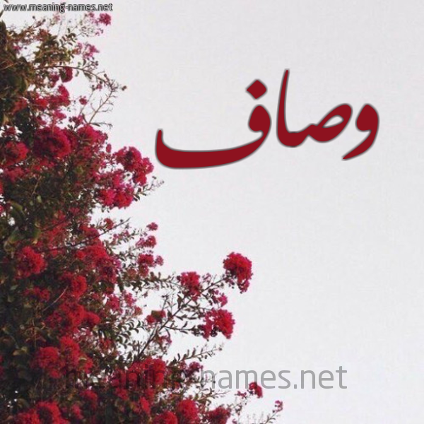 شكل 18 صوره الورد الأحمر للإسم بخط رقعة صورة اسم وصاف wesaf
