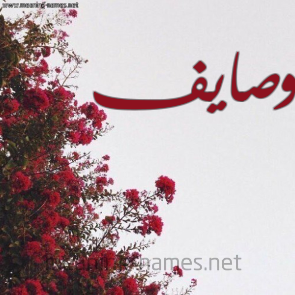 شكل 18 صوره الورد الأحمر للإسم بخط رقعة صورة اسم وصايف Wasaief