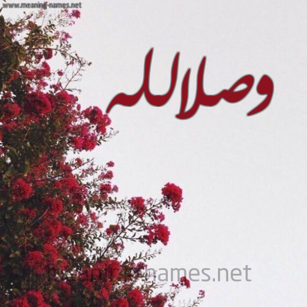 شكل 18 صوره الورد الأحمر للإسم بخط رقعة صورة اسم وصلالله Wslallh