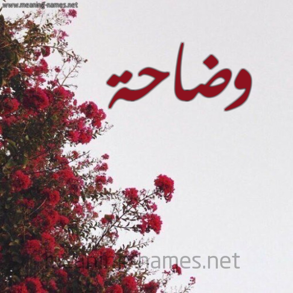 شكل 18 صوره الورد الأحمر للإسم بخط رقعة صورة اسم وضاحة ODAHH