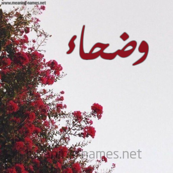 شكل 18 صوره الورد الأحمر للإسم بخط رقعة صورة اسم وضحاء Wdha'a