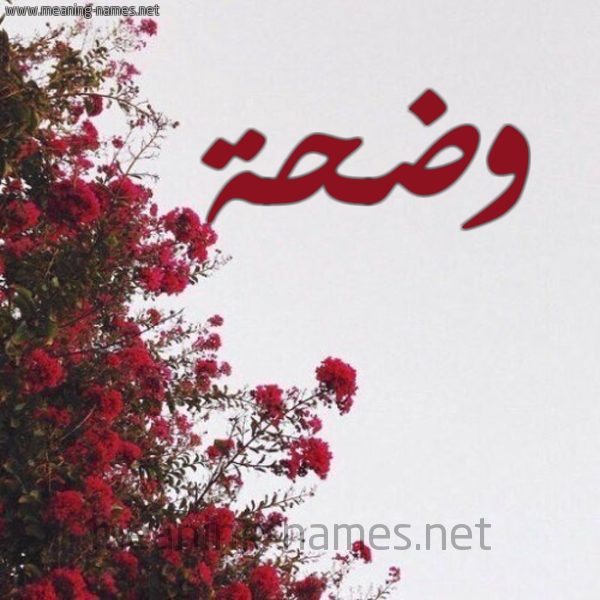 شكل 18 صوره الورد الأحمر للإسم بخط رقعة صورة اسم وضحة Wdha