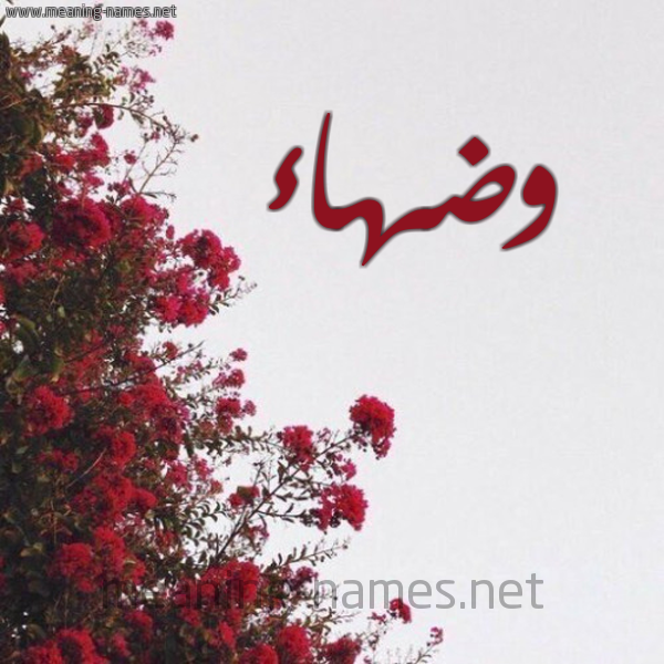 شكل 18 صوره الورد الأحمر للإسم بخط رقعة صورة اسم وضهاء Wd'ha'a