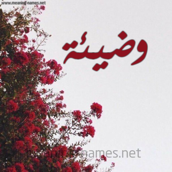 شكل 18 صوره الورد الأحمر للإسم بخط رقعة صورة اسم وضيئة ODIEH