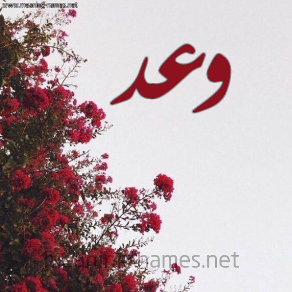 شكل 18 صوره الورد الأحمر للإسم بخط رقعة صورة اسم وعد Waad