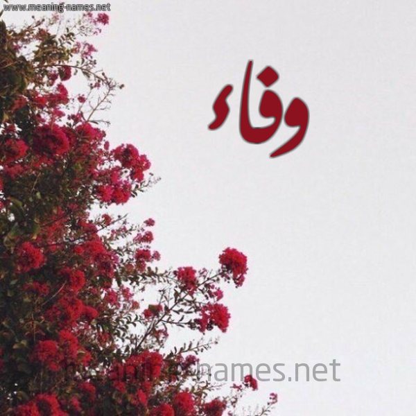 شكل 18 صوره الورد الأحمر للإسم بخط رقعة صورة اسم وفاء Wafaa