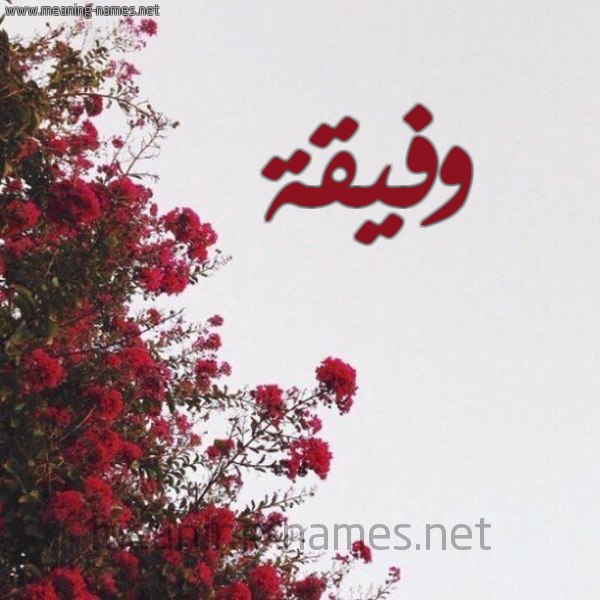 شكل 18 صوره الورد الأحمر للإسم بخط رقعة صورة اسم وفيقة Wfyqh