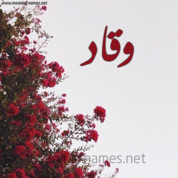 شكل 18 صوره الورد الأحمر للإسم بخط رقعة صورة اسم وقاد Waqad