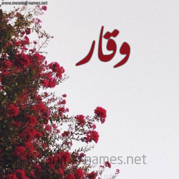 شكل 18 صوره الورد الأحمر للإسم بخط رقعة صورة اسم وقار Wqar