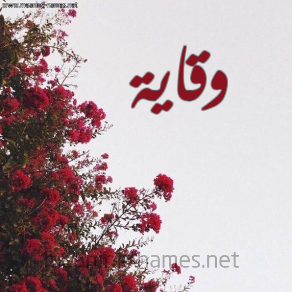 شكل 18 صوره الورد الأحمر للإسم بخط رقعة صورة اسم وقاية Wqayh
