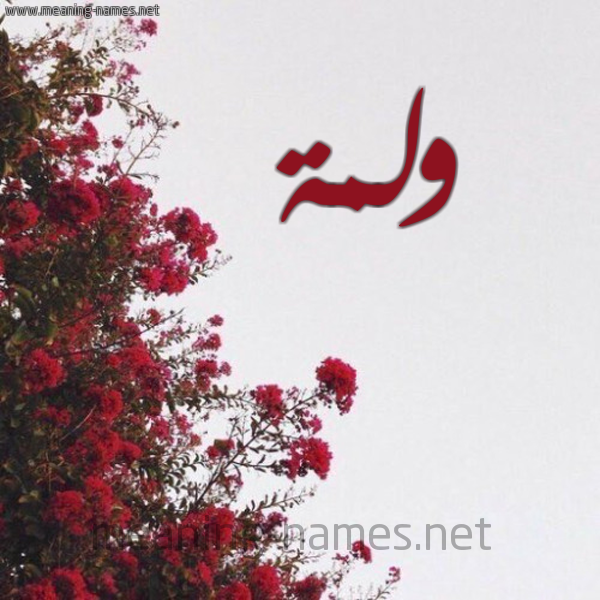شكل 18 صوره الورد الأحمر للإسم بخط رقعة صورة اسم ولمة Wlmh