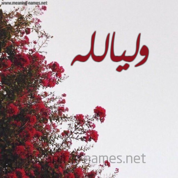 شكل 18 صوره الورد الأحمر للإسم بخط رقعة صورة اسم وليالله Wlyallh