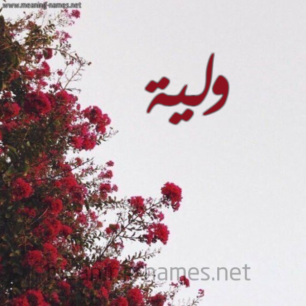 شكل 18 صوره الورد الأحمر للإسم بخط رقعة صورة اسم ولية OLIH