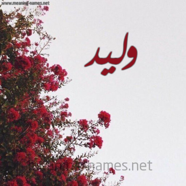 شكل 18 صوره الورد الأحمر للإسم بخط رقعة صورة اسم وليد Waleed