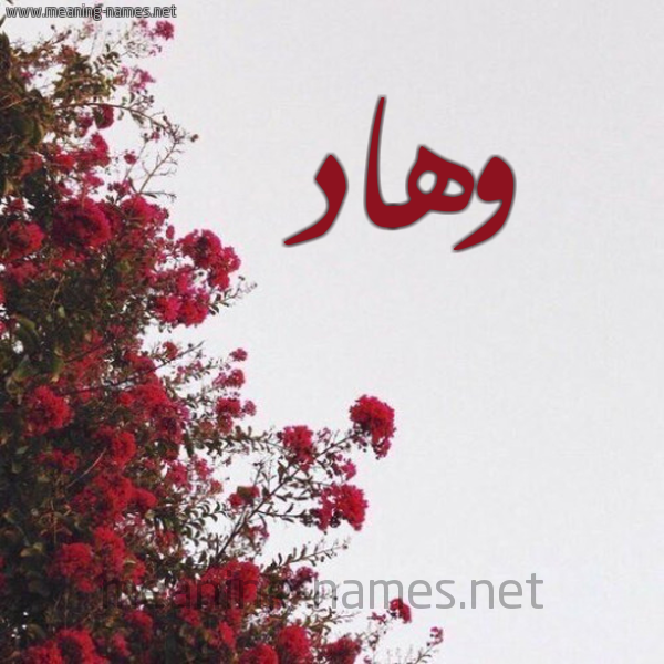 شكل 18 صوره الورد الأحمر للإسم بخط رقعة صورة اسم وهاد Wehad
