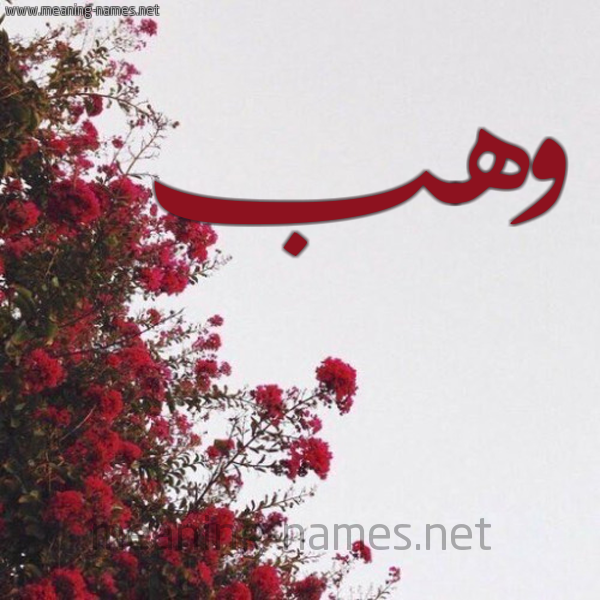 شكل 18 صوره الورد الأحمر للإسم بخط رقعة صورة اسم وهب Whb