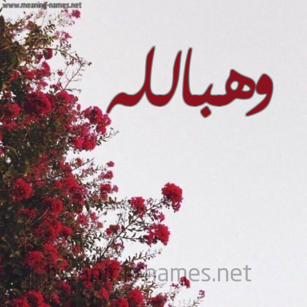 شكل 18 صوره الورد الأحمر للإسم بخط رقعة صورة اسم وهبالله Whballh