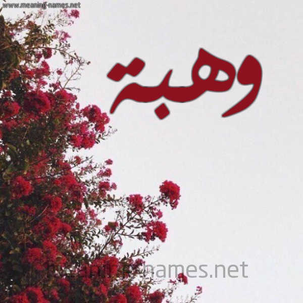 شكل 18 صوره الورد الأحمر للإسم بخط رقعة صورة اسم وهبة Wahba