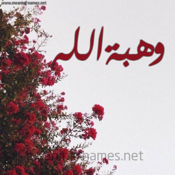 شكل 18 صوره الورد الأحمر للإسم بخط رقعة صورة اسم وهبةالله Whbhallh