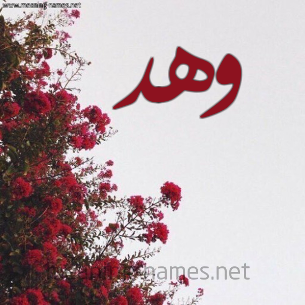 شكل 18 صوره الورد الأحمر للإسم بخط رقعة صورة اسم وهد Whd