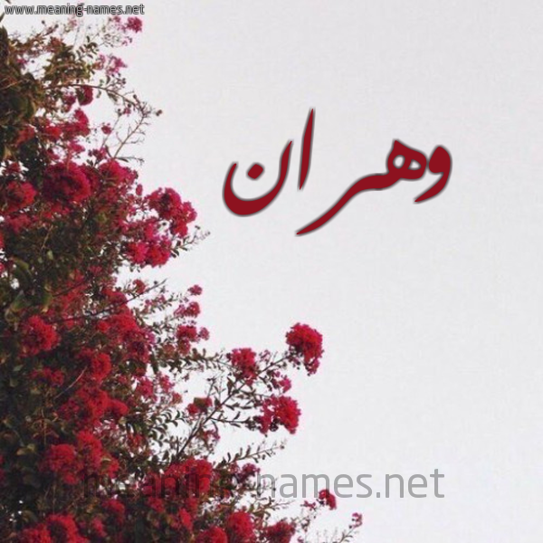 شكل 18 صوره الورد الأحمر للإسم بخط رقعة صورة اسم وهران Ohran