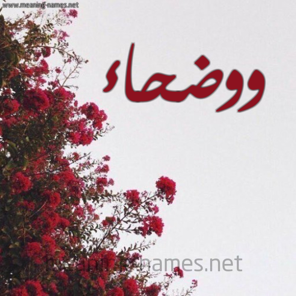 شكل 18 صوره الورد الأحمر للإسم بخط رقعة صورة اسم ووضحاء Wadhaa