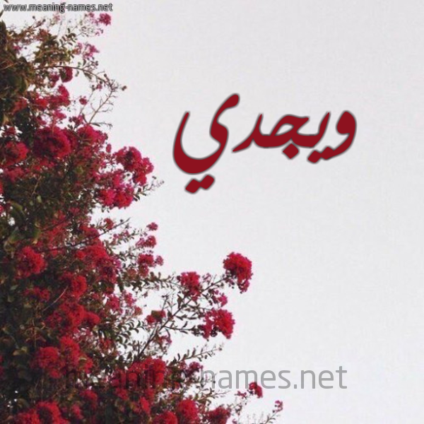 شكل 18 صوره الورد الأحمر للإسم بخط رقعة صورة اسم ويجدي Wajdi