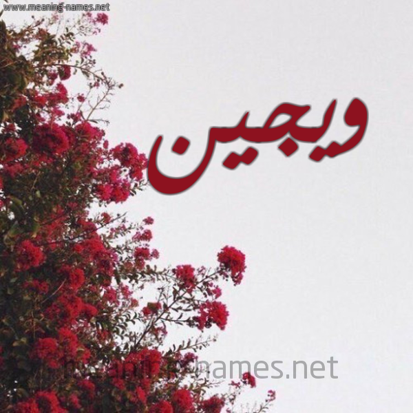 شكل 18 صوره الورد الأحمر للإسم بخط رقعة صورة اسم ويجين Wajin