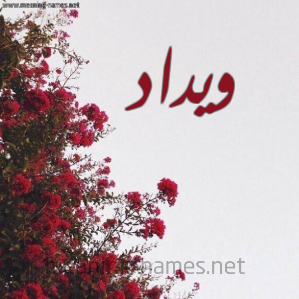 شكل 18 صوره الورد الأحمر للإسم بخط رقعة صورة اسم ويداد Widad