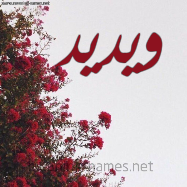 شكل 18 صوره الورد الأحمر للإسم بخط رقعة صورة اسم ويديد Wadid
