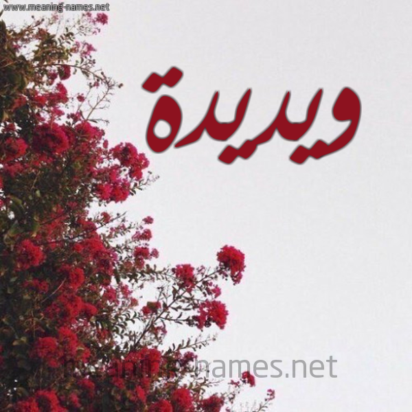 شكل 18 صوره الورد الأحمر للإسم بخط رقعة صورة اسم ويديدة Wadida