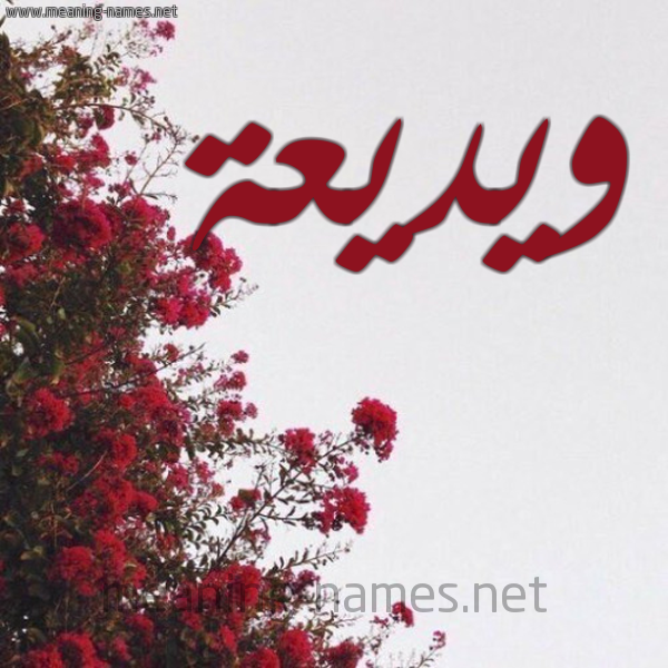 شكل 18 صوره الورد الأحمر للإسم بخط رقعة صورة اسم ويديعة Wadiaa