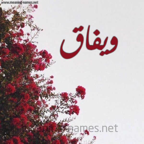 شكل 18 صوره الورد الأحمر للإسم بخط رقعة صورة اسم ويفاق Wefa