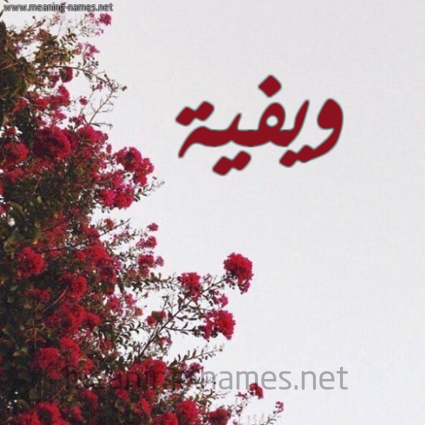 شكل 18 صوره الورد الأحمر للإسم بخط رقعة صورة اسم ويفية Wafeya