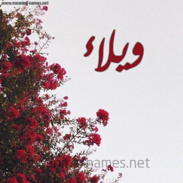 شكل 18 صوره الورد الأحمر للإسم بخط رقعة صورة اسم ويلاء Wala