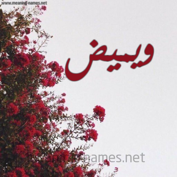 شكل 18 صوره الورد الأحمر للإسم بخط رقعة صورة اسم ويميض Wamyd