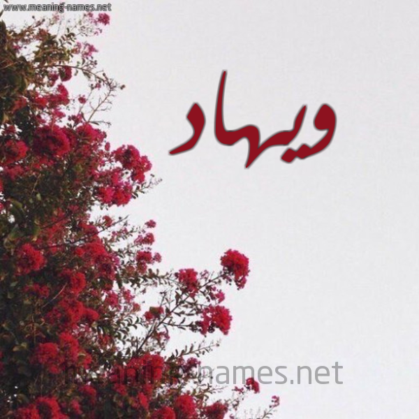 شكل 18 صوره الورد الأحمر للإسم بخط رقعة صورة اسم ويهاد Wehad