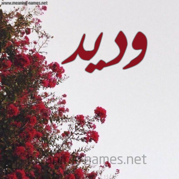 شكل 18 صوره الورد الأحمر للإسم بخط رقعة صورة اسم وَديد OADID