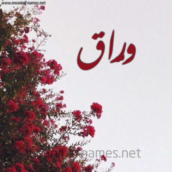 شكل 18 صوره الورد الأحمر للإسم بخط رقعة صورة اسم وَرَّاق OARAAQ