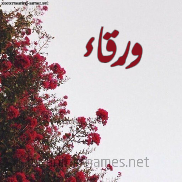 شكل 18 صوره الورد الأحمر للإسم بخط رقعة صورة اسم وَرْقاء OARQAA
