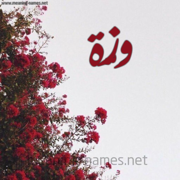 شكل 18 صوره الورد الأحمر للإسم بخط رقعة صورة اسم وَزَّة OAZAH