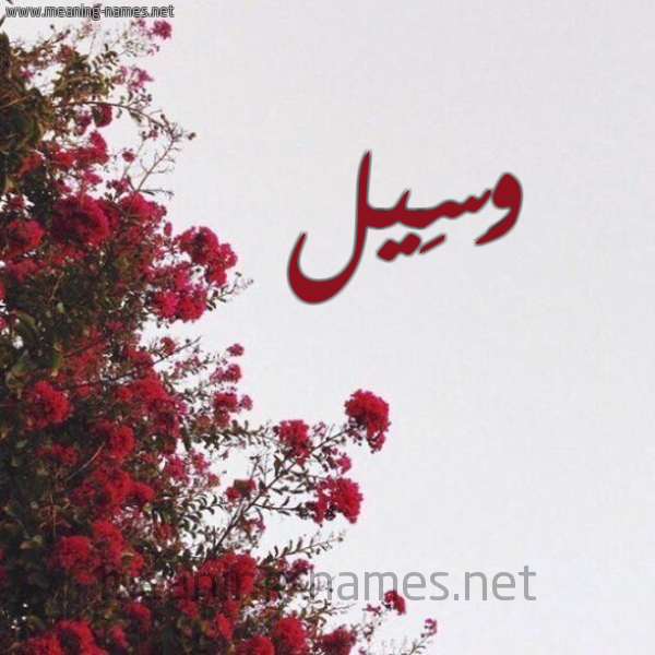 شكل 18 صوره الورد الأحمر للإسم بخط رقعة صورة اسم وَسِيل OASEIL