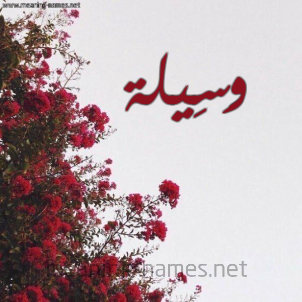 شكل 18 صوره الورد الأحمر للإسم بخط رقعة صورة اسم وَسِيلة Waseila