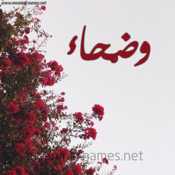 شكل 18 صوره الورد الأحمر للإسم بخط رقعة صورة اسم وَضْحاء OADHAA