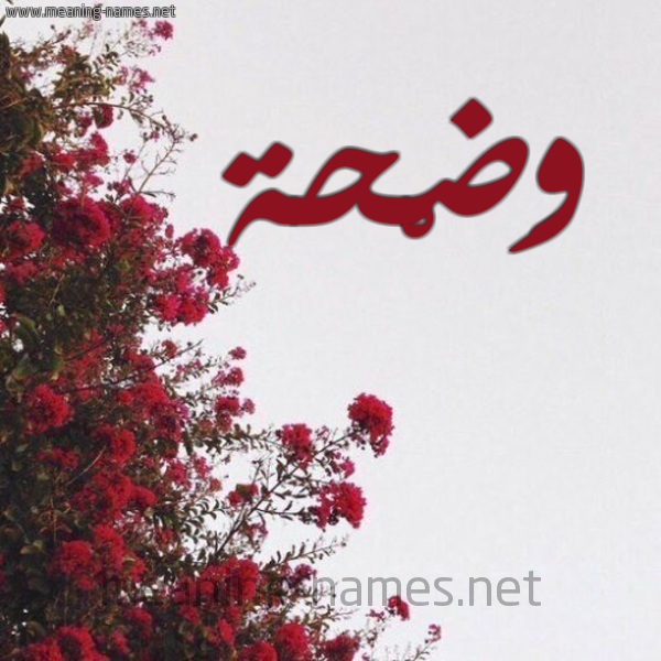 شكل 18 صوره الورد الأحمر للإسم بخط رقعة صورة اسم وَضْحة OADHH
