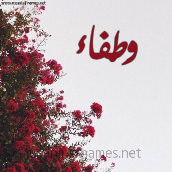 شكل 18 صوره الورد الأحمر للإسم بخط رقعة صورة اسم وَطْفاء OATFAA