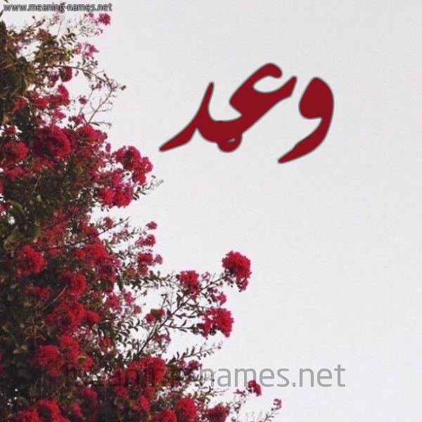 شكل 18 صوره الورد الأحمر للإسم بخط رقعة صورة اسم وَعْد OAAD