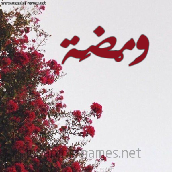 شكل 18 صوره الورد الأحمر للإسم بخط رقعة صورة اسم وَمْضَة OAMDAH