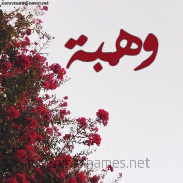 شكل 18 صوره الورد الأحمر للإسم بخط رقعة صورة اسم وَهْبة OAHBH